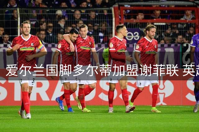爱尔兰国脚多尔蒂加盟谢菲联 英超老将助力升班马冲超